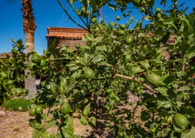 Ranchitos San Carlos house for sale 18