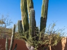 Lomas de San Carlos, San Carlos Sonora by REMAX_38